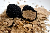 De voordelen van microdosing voor creativiteit en welzijn